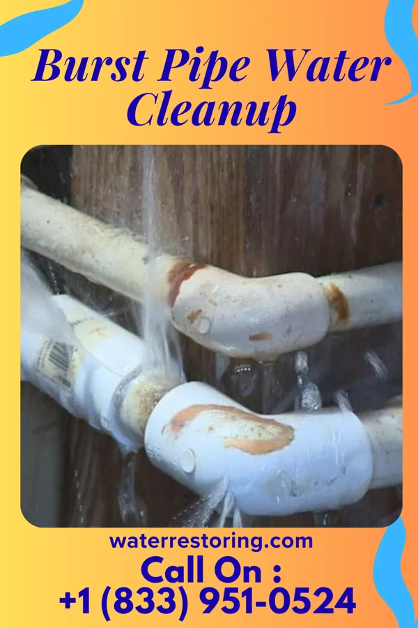 Burst Pipe Water Cleanup in Sandborn, IN