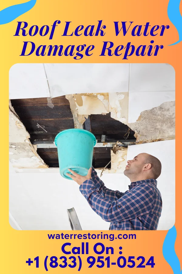 Roof Leak Water Damage Repair in Sandborn, IN