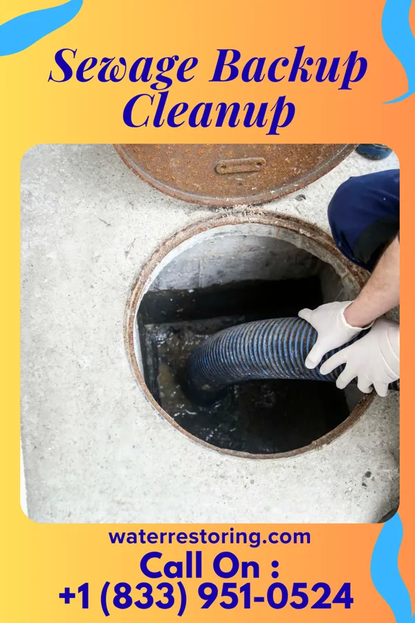 Sewage Backup Cleanup in Sandborn, IN