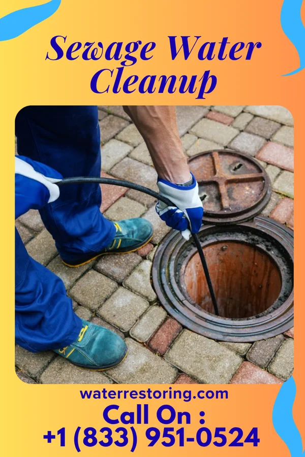 Sewage Water Cleanup in Sandborn, IN